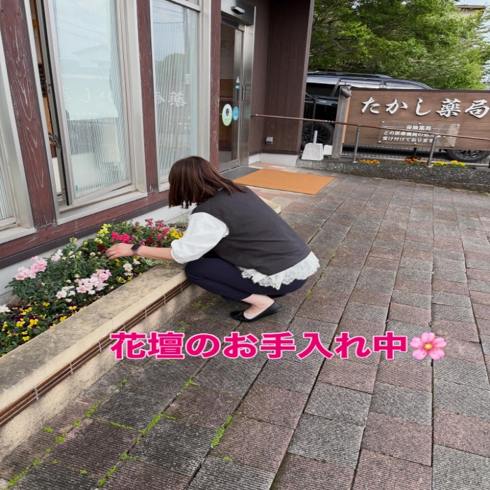 花壇のお手入れ中