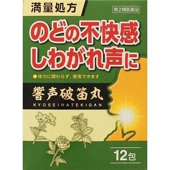 響声破笛丸